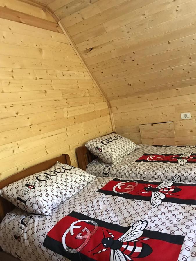 Elvis Blini Thethi Hotel Eksteriør billede