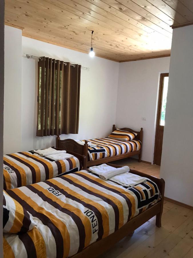 Elvis Blini Thethi Hotel Eksteriør billede